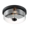 Satco® Sommerset 2-Light Flush Mount Light