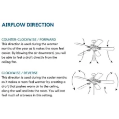 Progress Lighting Graceful 54 In. 5-Blade Led Ceiling Fan W/ Light (Antique Bronze) -Sylvania || Coast || GENERIC Shop 158587 w DetailedProductView5 Lg