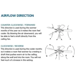 Progress Lighting Airpro 52 In Indoor/outdoor Ceiling Fan (Forged Black) -Sylvania || Coast || GENERIC Shop 158619 w DetailedProductView5 Lg