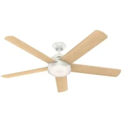 Hunter Fan Romulus 60 In. Ceiling Fan W/ Light (White)
