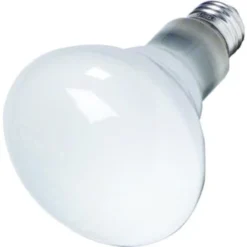 65w 80° Br30 Incandescent Reflector Bulb (24-Pack)