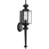 Progress Lighting Brassguard 7 X 28.5 In. 1-Light Outdoor Lantern (Black)