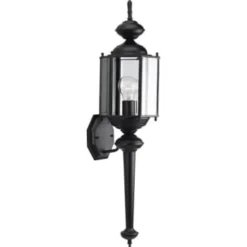 Progress Lighting Brassguard 7 X 28.5 In. 1-Light Outdoor Lantern (Black)